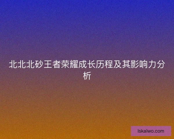 北北北砂王者荣耀成长历程及其影响力分析